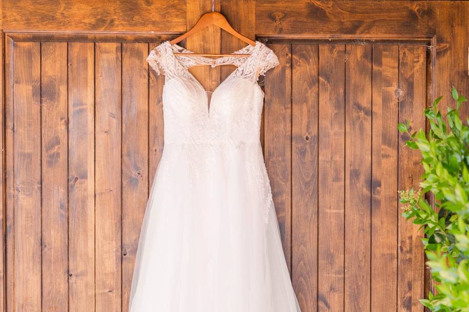 Bride's wedding dress