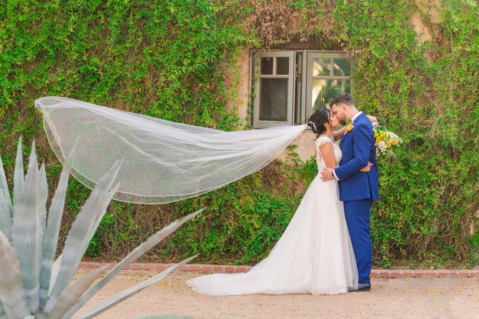 Portrait with long veil