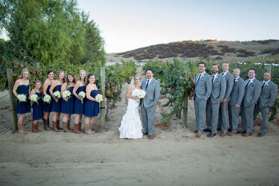 The couple with their bridesmaids and groomsmen