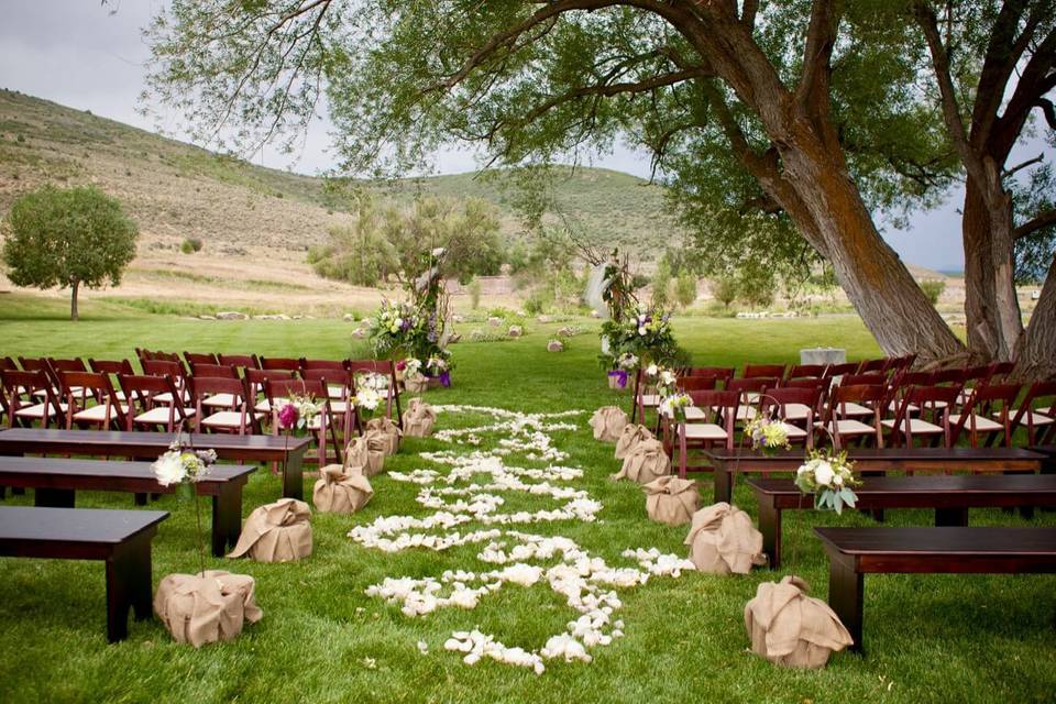 Wedding Tree Ceremony