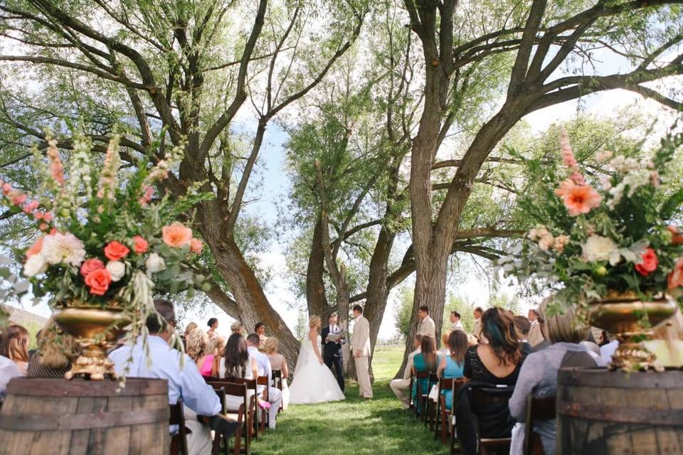 Wedding Tree Ceremony