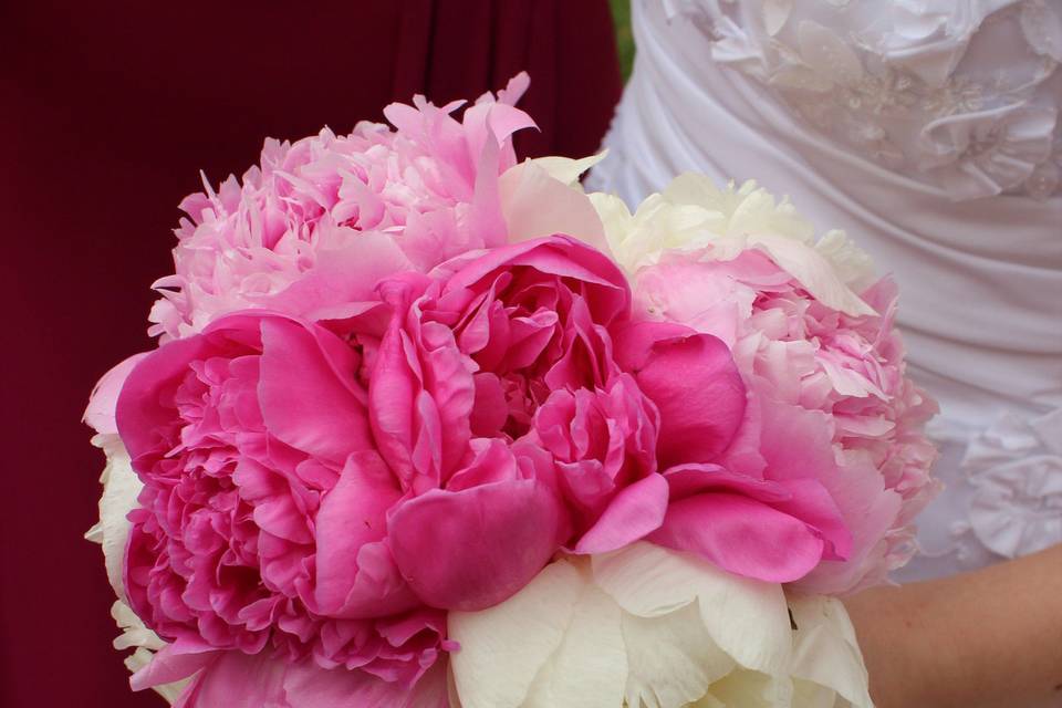 Passionate About Peonies