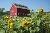 The West Monitor Barn