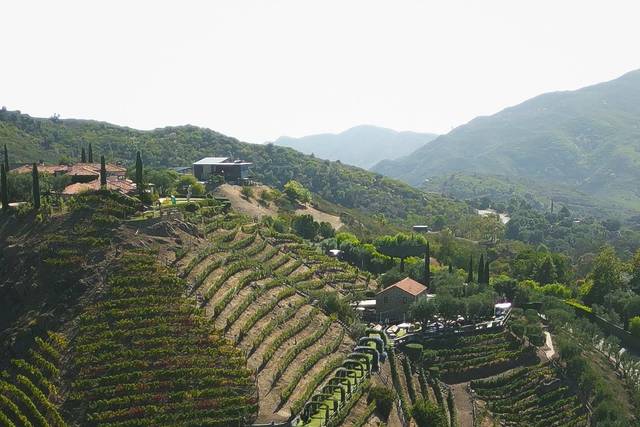 © O'Ryan Empire Photography