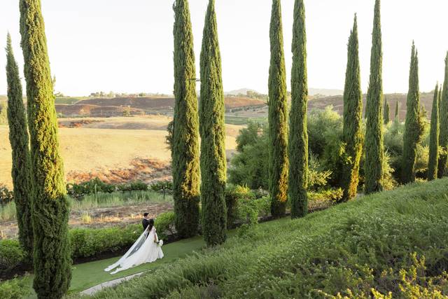 © O'Ryan Empire Photography