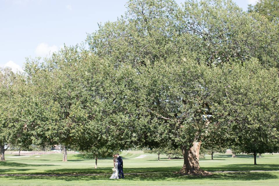 Wedding couple under a tree