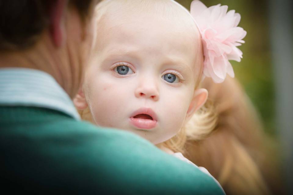 Smoky Mountain Portraits