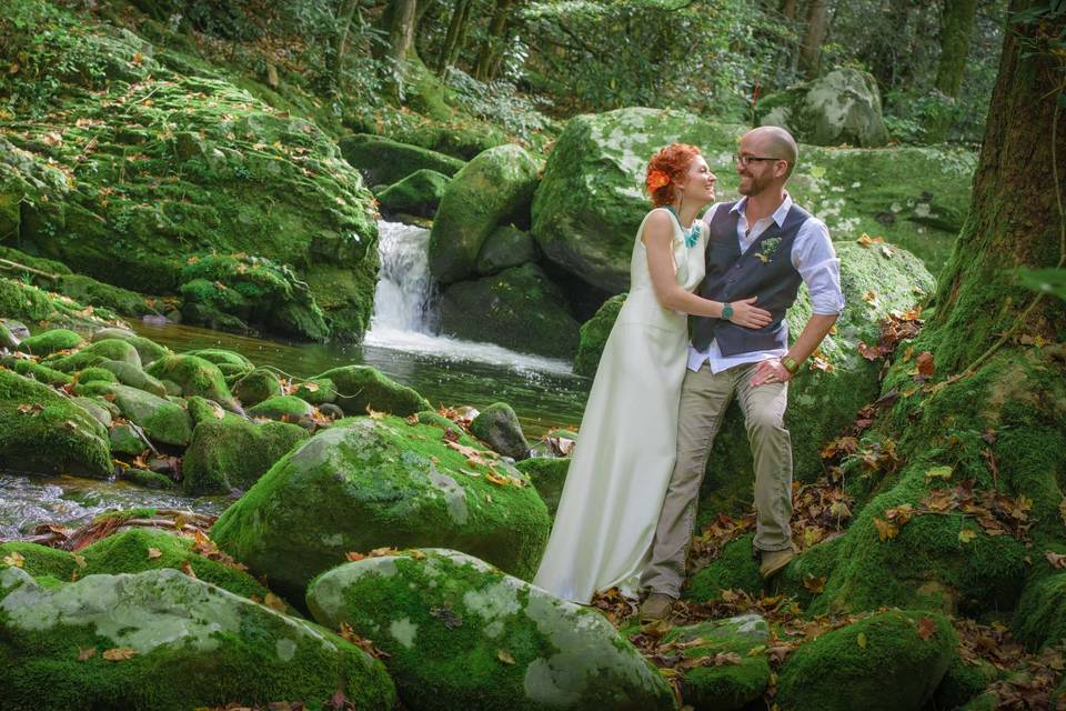 Smoky Mountain Portraits