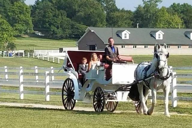 Brookdale Farms