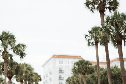 Charleston Battery Wedding