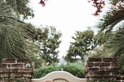 Wedding portraits downtown