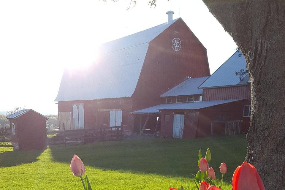 The farm in bloom