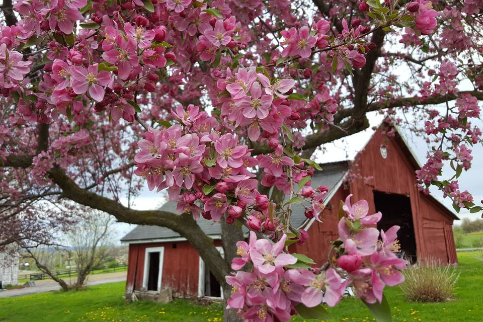 Historic outbuildings