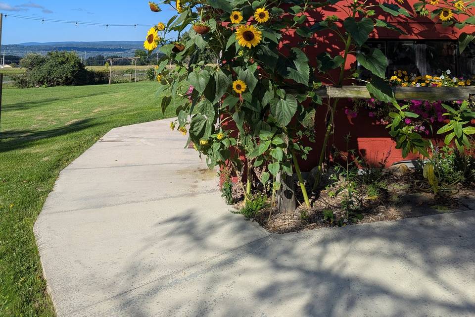Farm field moment
