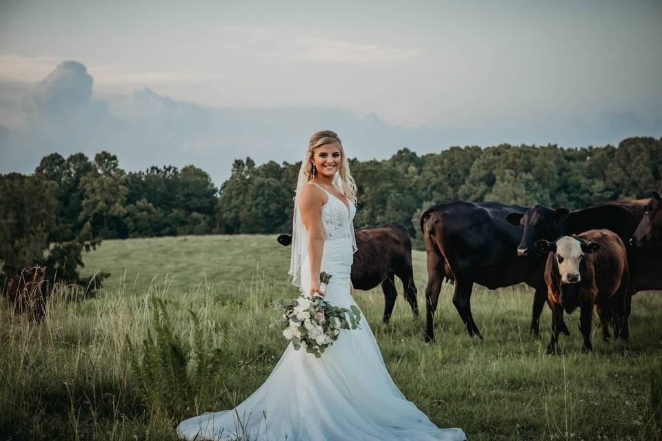Bridal with my cows