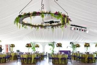 Sally Arnold Events