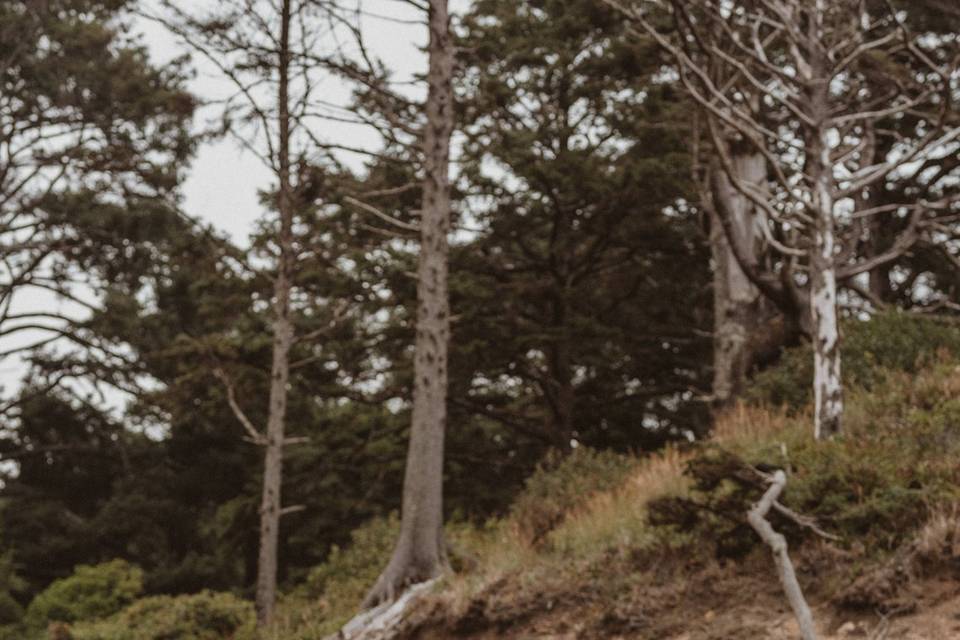 Oregon Coast Elopement