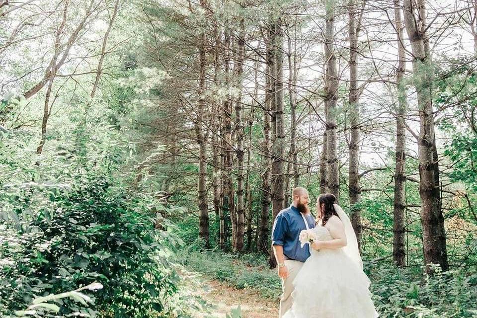 Tree Tunnel