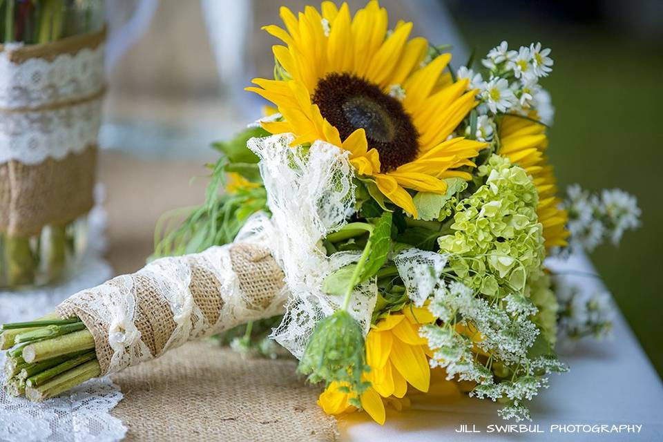 Jill Swirbul Photography