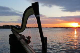 Vince Zentner Harpist