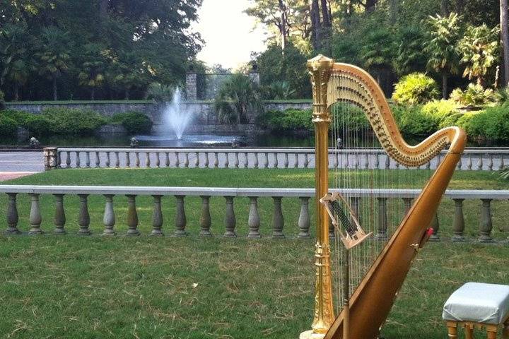 Harp in Norfolk Botanical Gardens