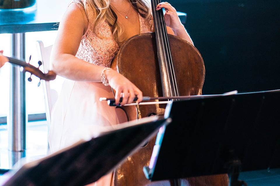 Sympholynn Cellist, JWMarriott