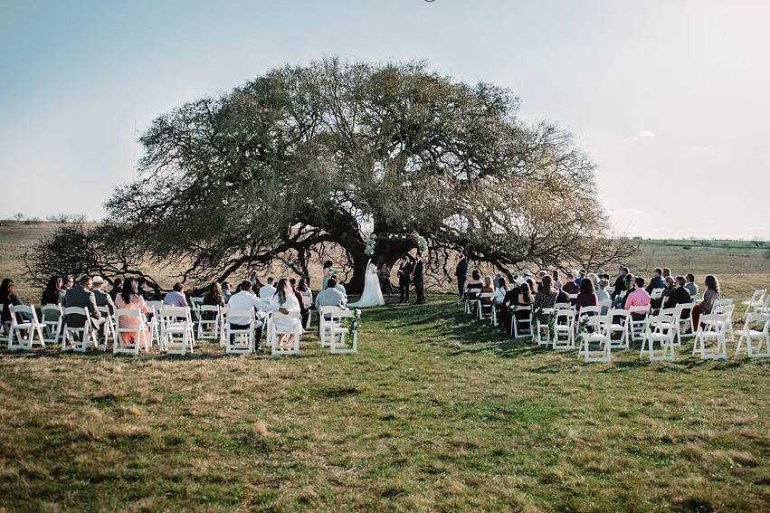 Ceremony under Tree