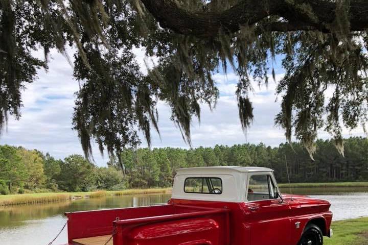 Under the Oaks