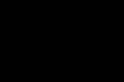 Celebride