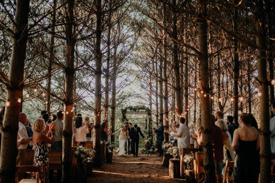 Romantic Wedding in a Pine For
