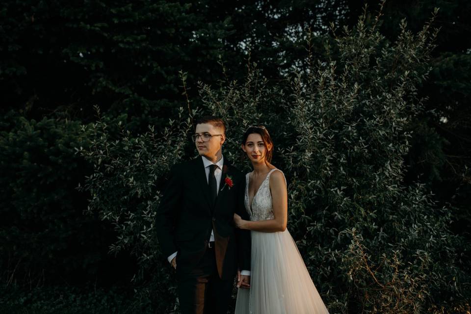 Backyard Wedding