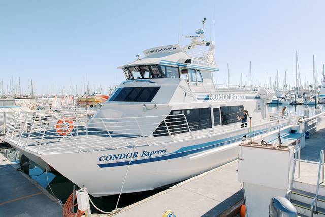 Condor Express