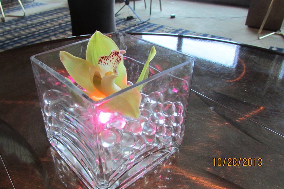 Whitney London Events