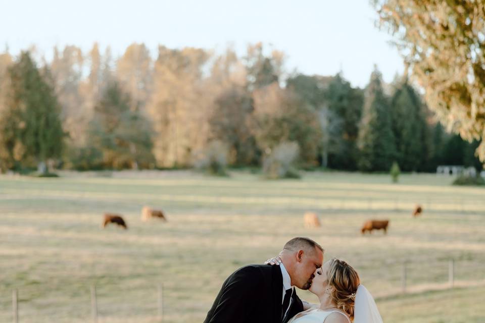 Sarah Campo Photography