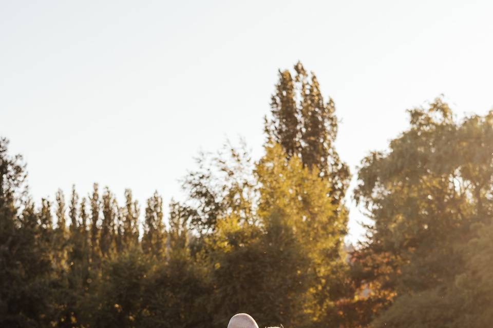 Sarah Campo Photography