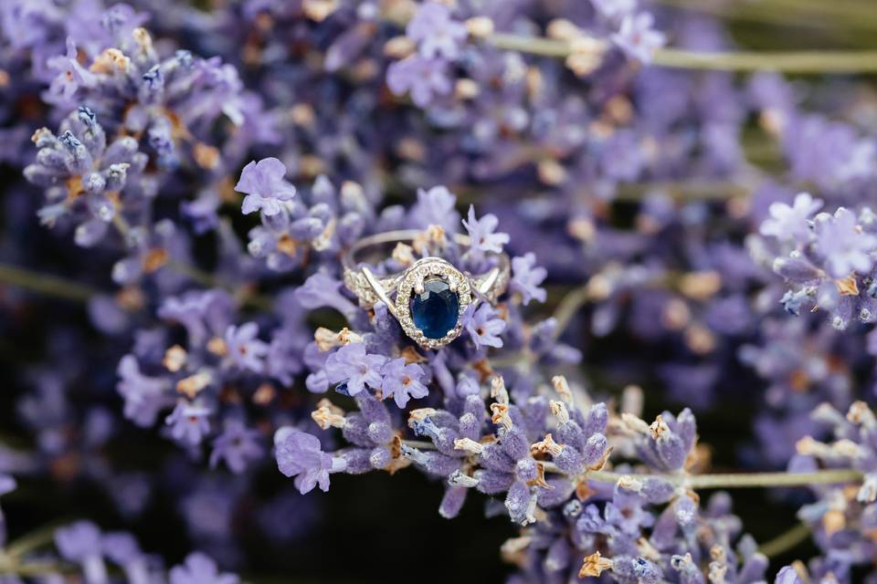 Sarah Campo Photography