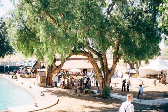 Pine Valley Ranch