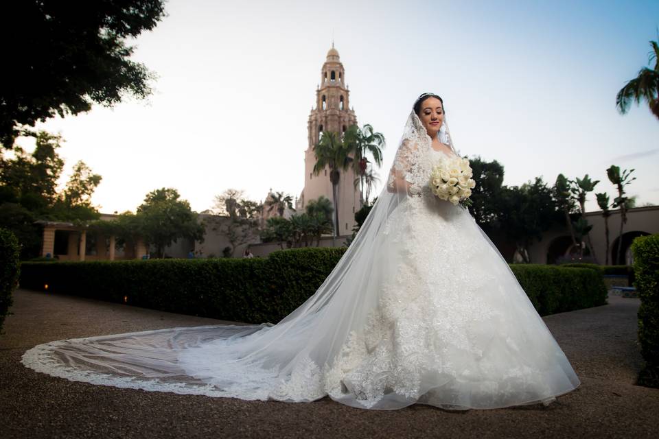 Gorgeous bride