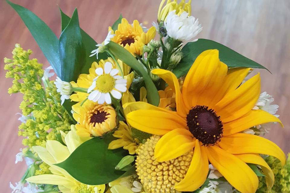 Yellow white sunflowers