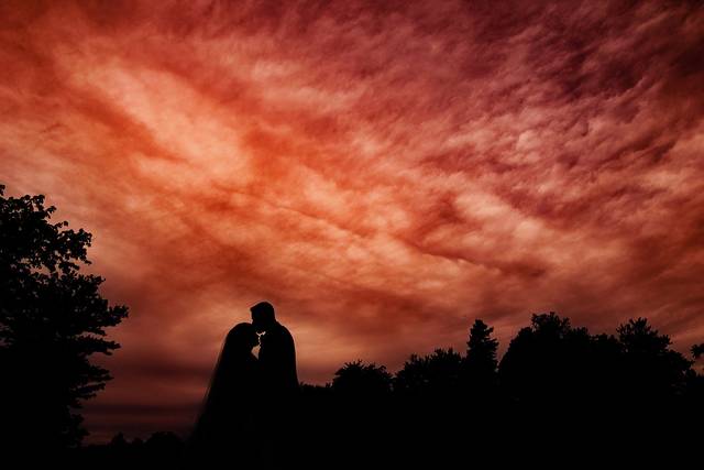 Mollan Photography