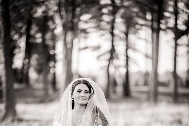 Mollan Photography