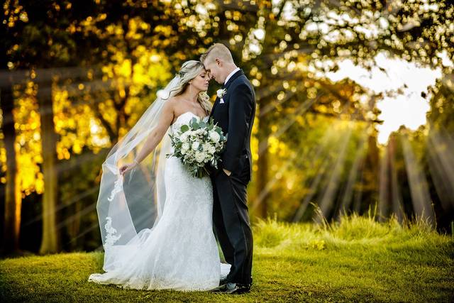 Mollan Photography