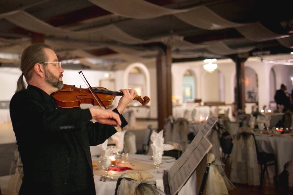 Strolling Violinist