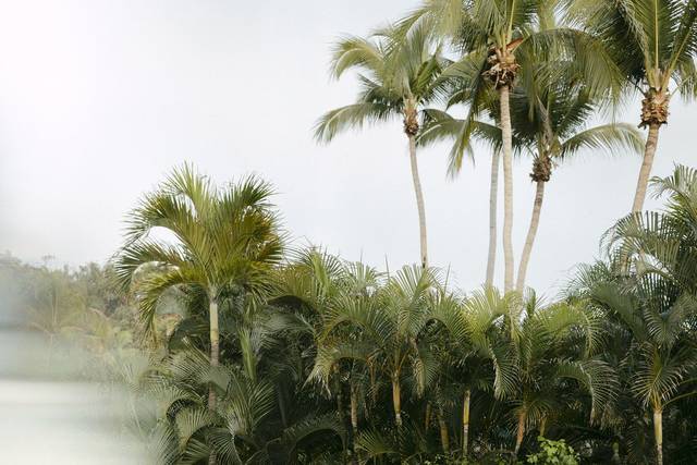 Gillian Rea Photo + Design