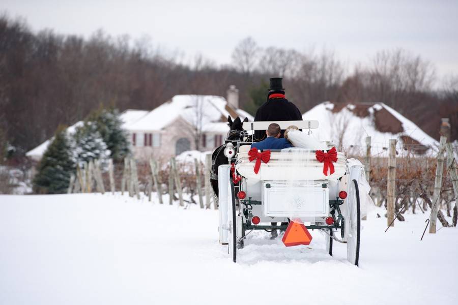 Winter wedding carriage