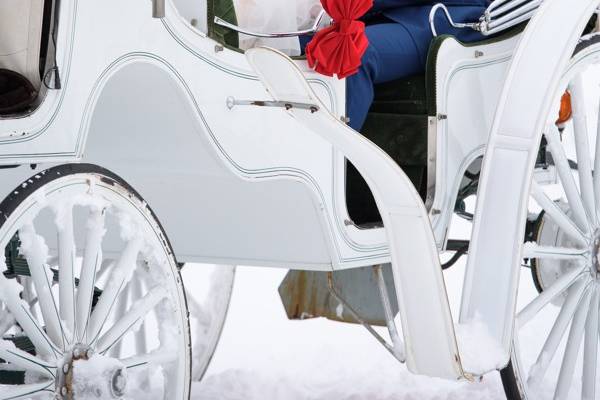 Couple in winter carriage