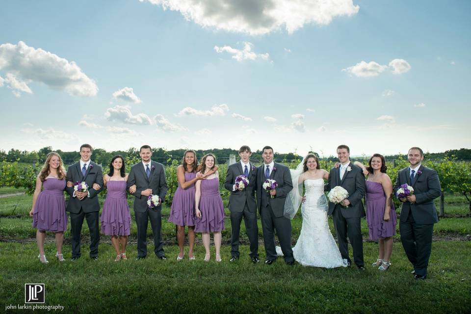 The couple with the bridesmaids and groomsmen