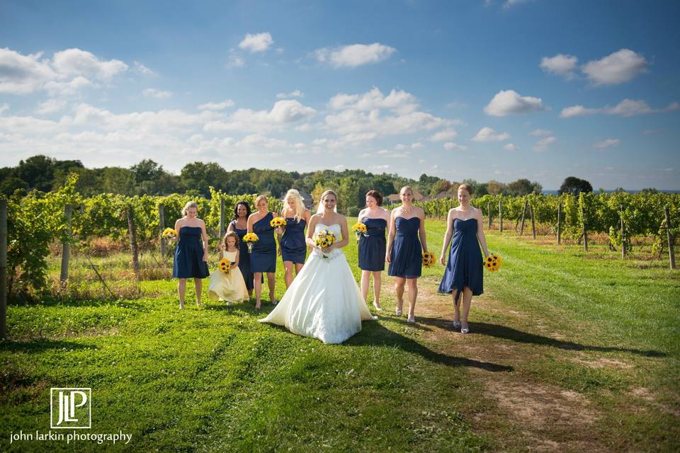 The bride with her bridesmaids