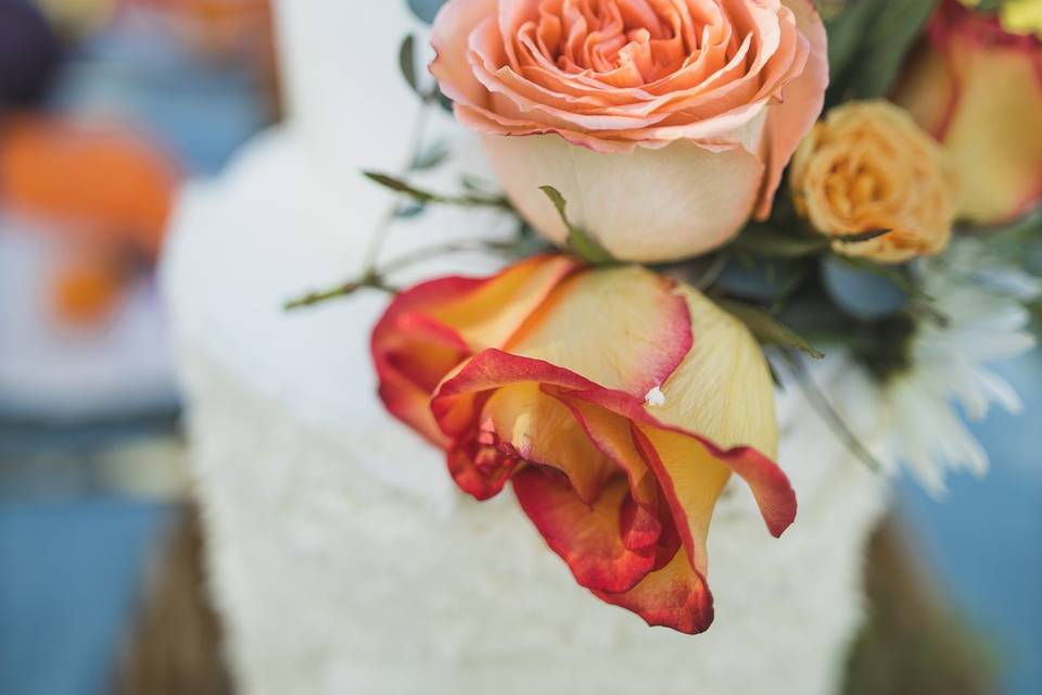 Roses for days