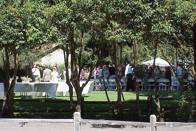 Santa Cruz County Parks Venue Santa Cruz CA WeddingWire